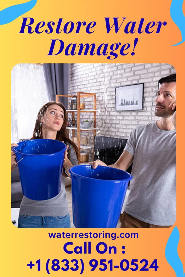 water restoration Galaxy Flood Mitigation Masters South Waverly