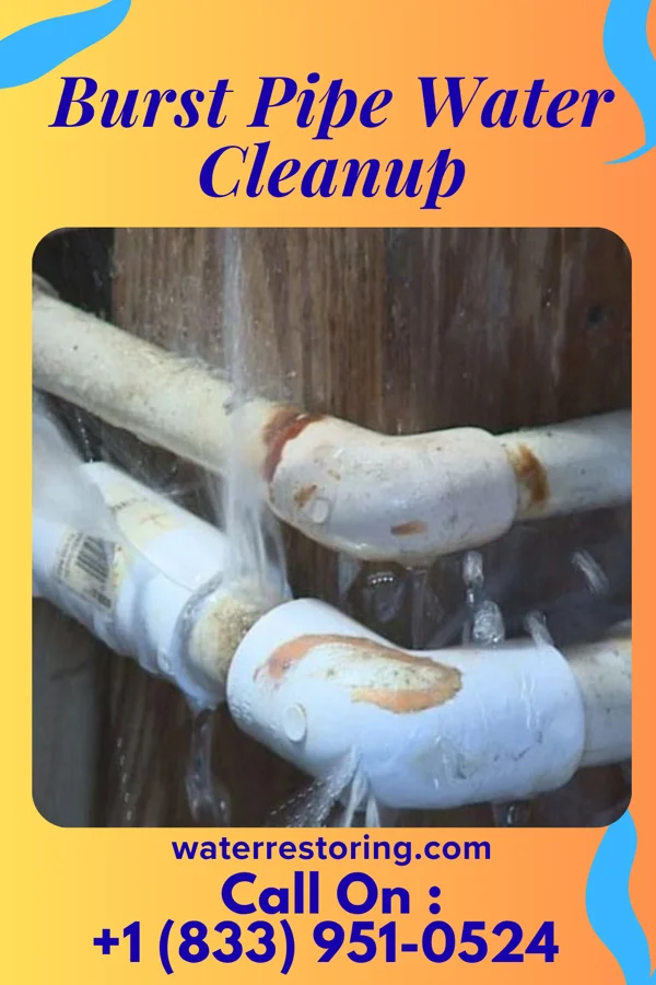 Burst Pipe Water Cleanup in South Waverly, PA