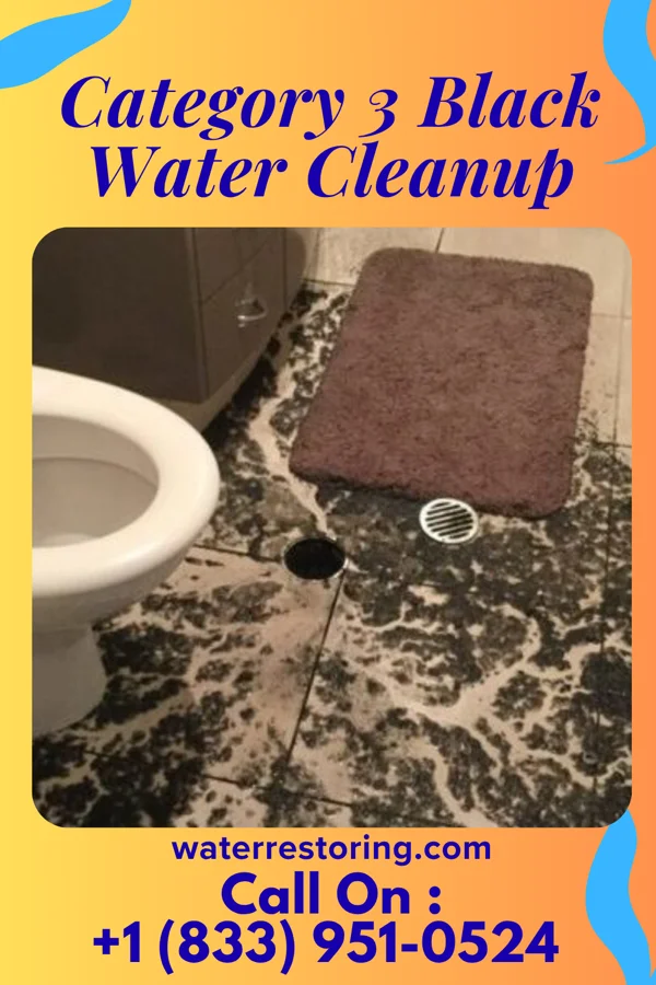 Category 3 Black Water Cleanup in South Waverly, PA