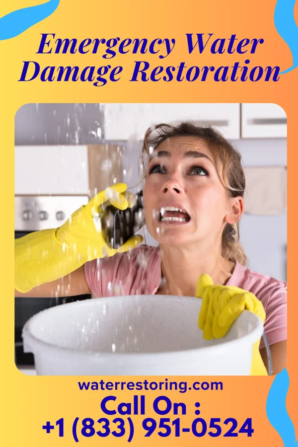 Emergency Water Damage Restoration in South Waverly, PA
