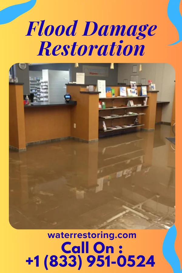 Flood Damage Restoration in South Waverly, PA