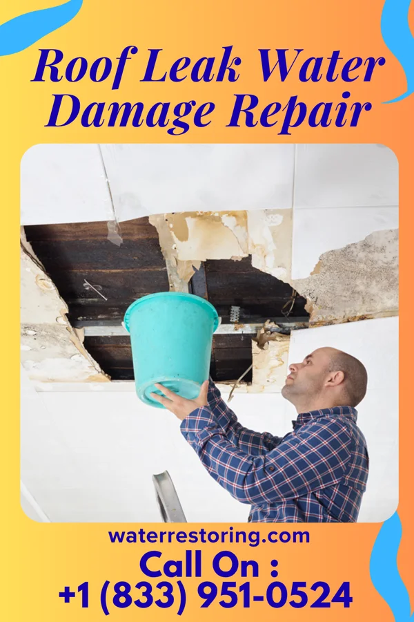 Roof Leak Water Damage Repair in South Waverly, PA